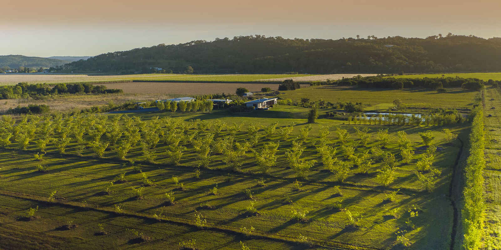 919 Yandina Coolum Road Valdora 919 Yandina Coolum Road Valdora