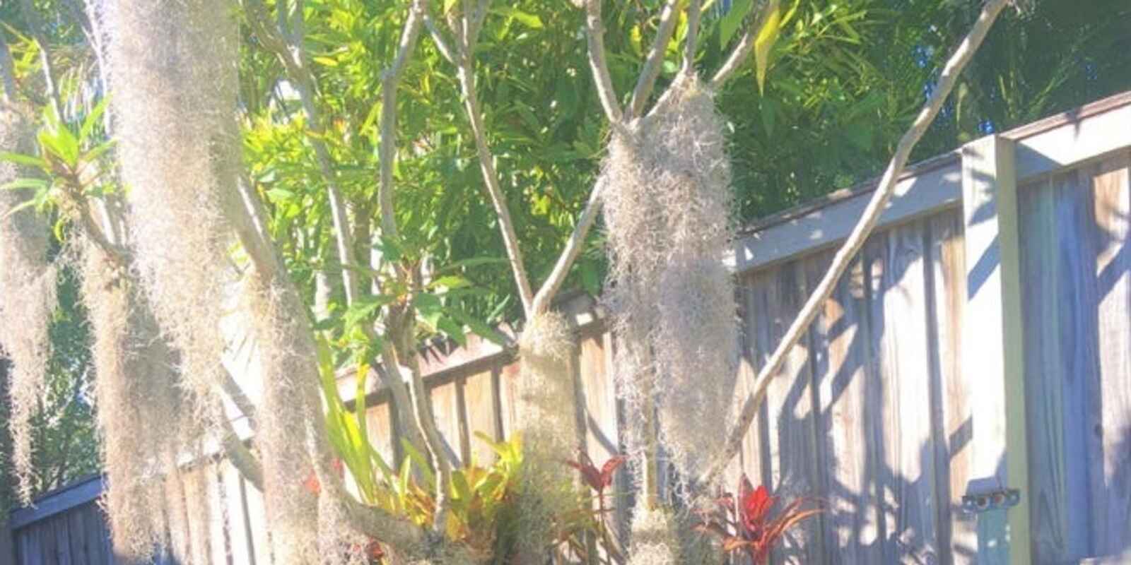 2/17 Avocet Parade Peregian Beach 2/17 Avocet Parade Peregian Beach