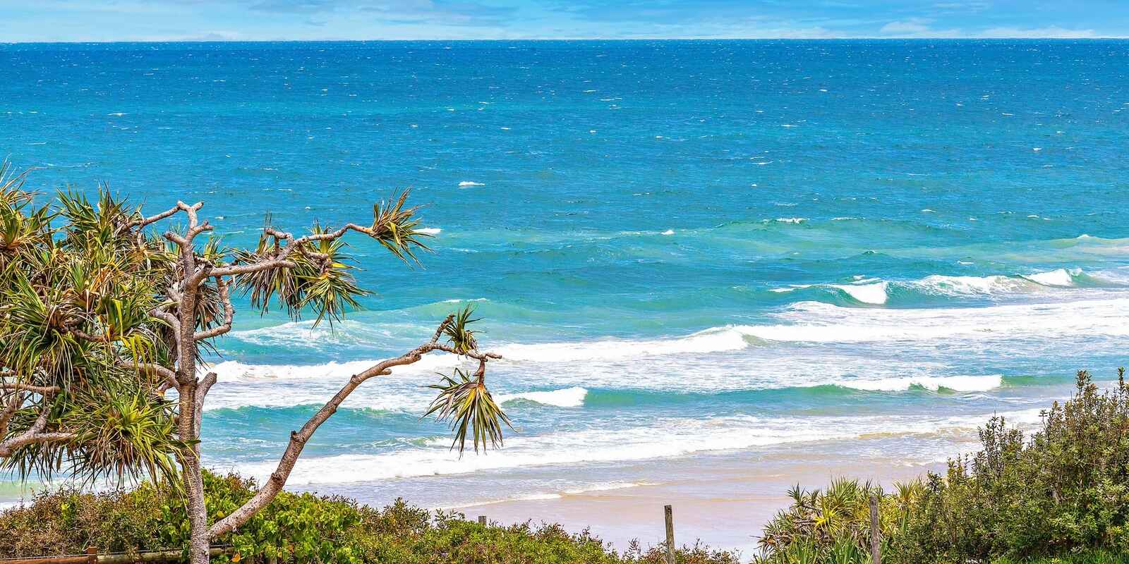 10/15 Andrew Street Point Arkwright