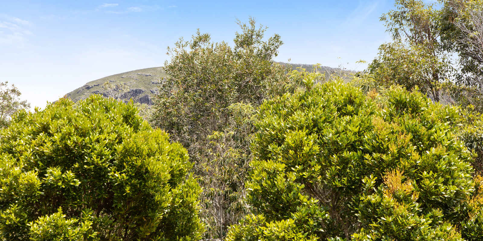 54/42 Boardwalk Boulevard Mount Coolum 54/42 Boardwalk Boulevard Mount Coolum