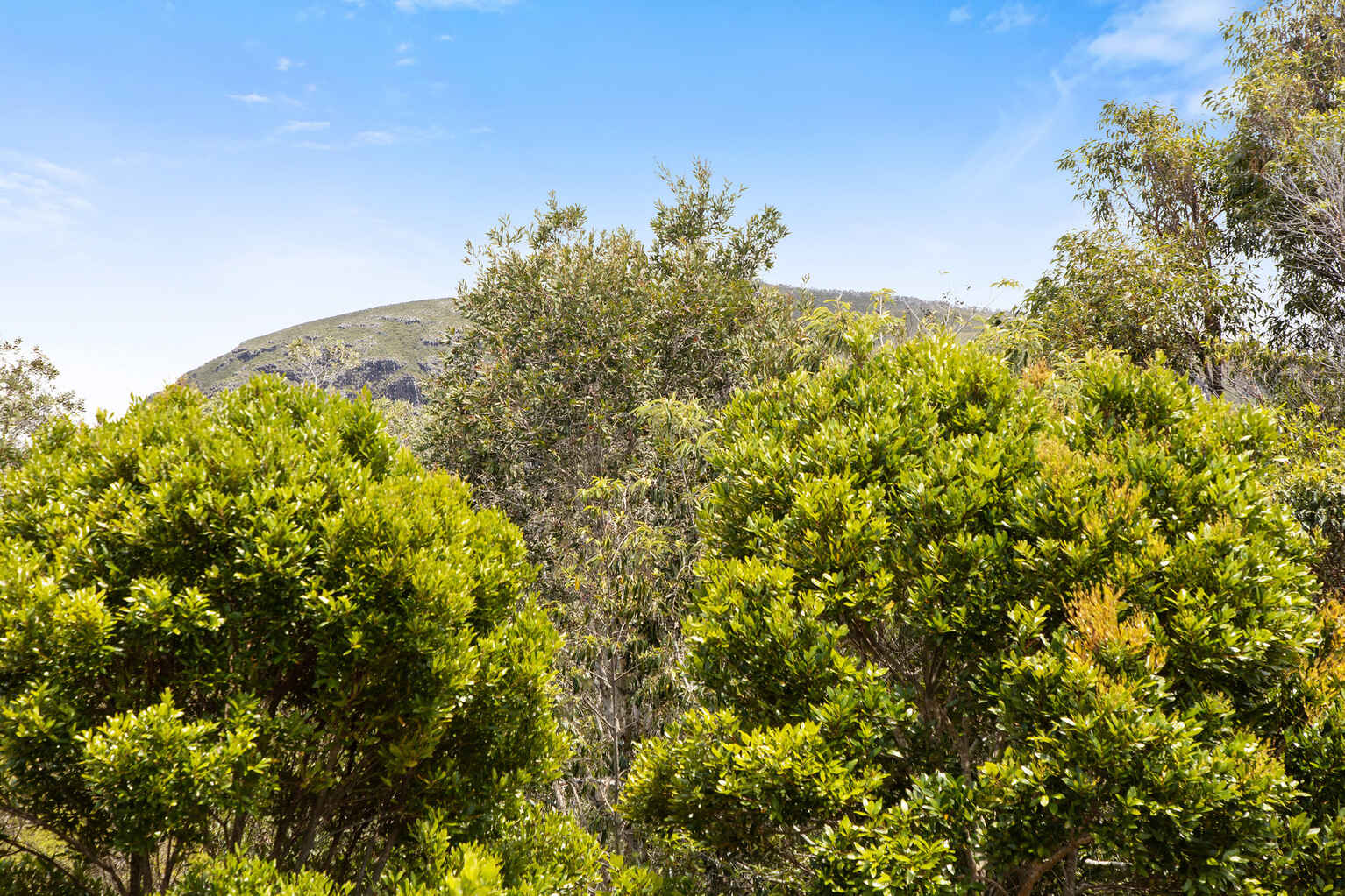 54/42 Boardwalk Boulevard Mount Coolum