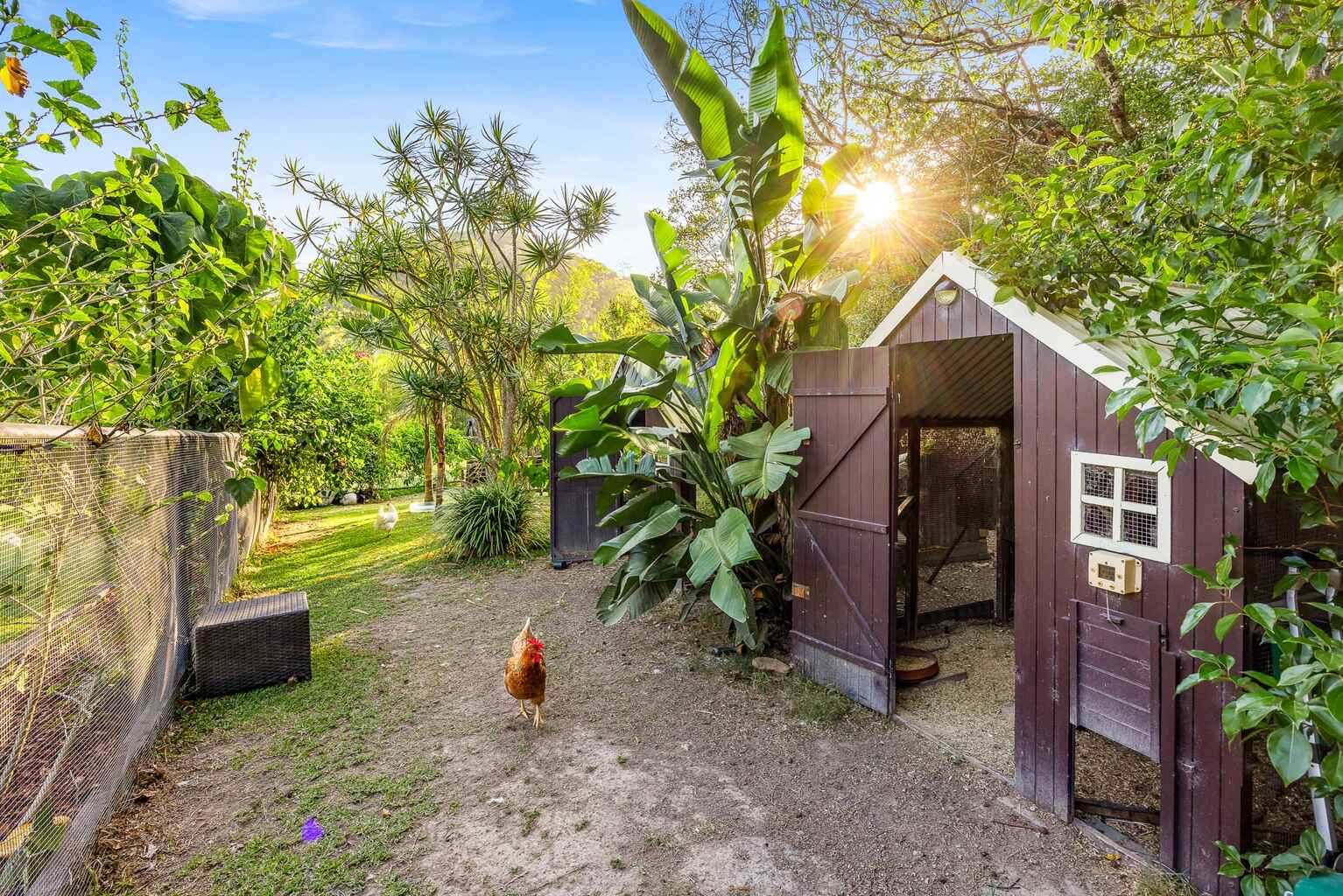 1 Warrener Place Maroochy River