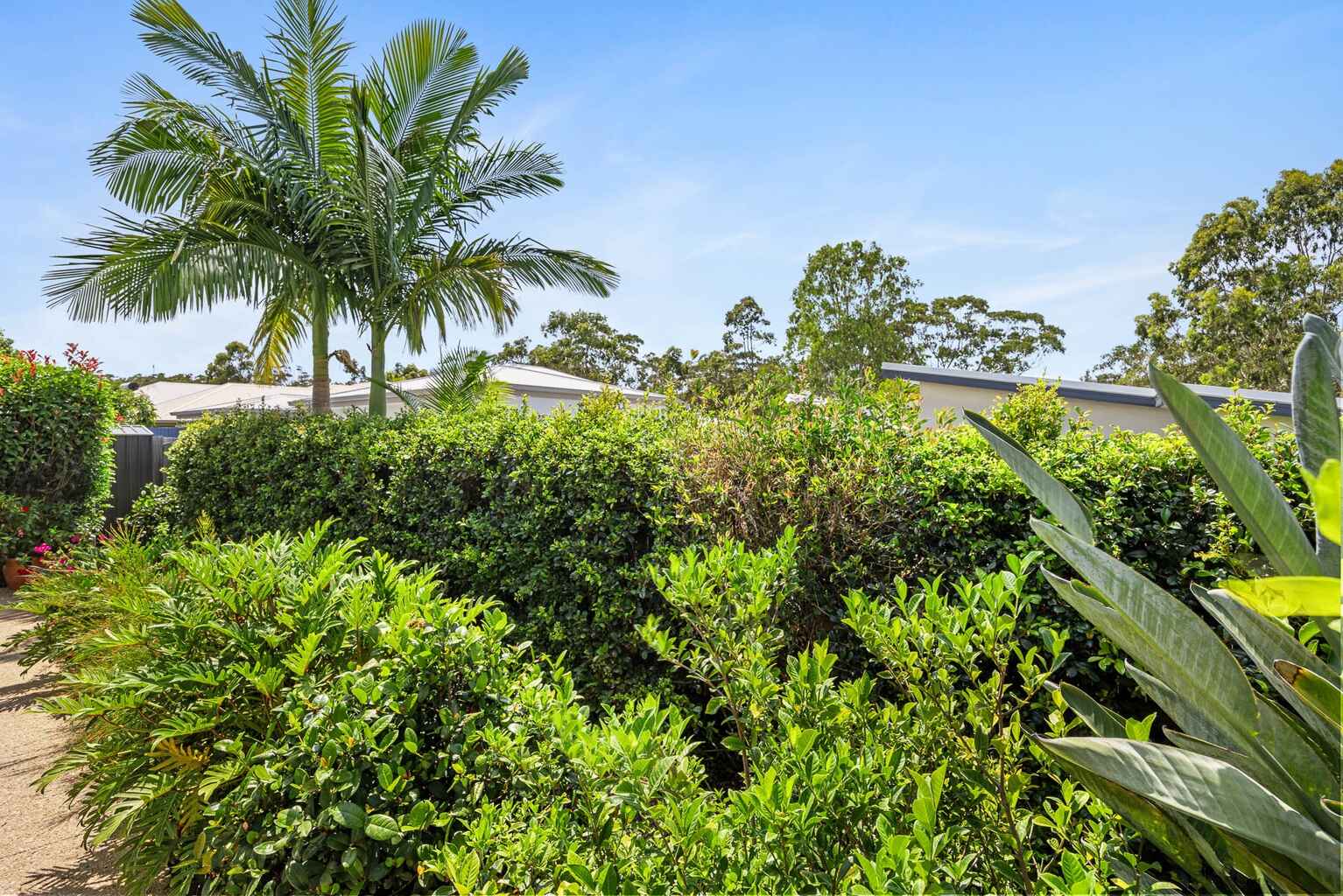 43 Scribbly Gum Circuit Peregian Springs 43 Scribbly Gum Circuit Peregian Springs