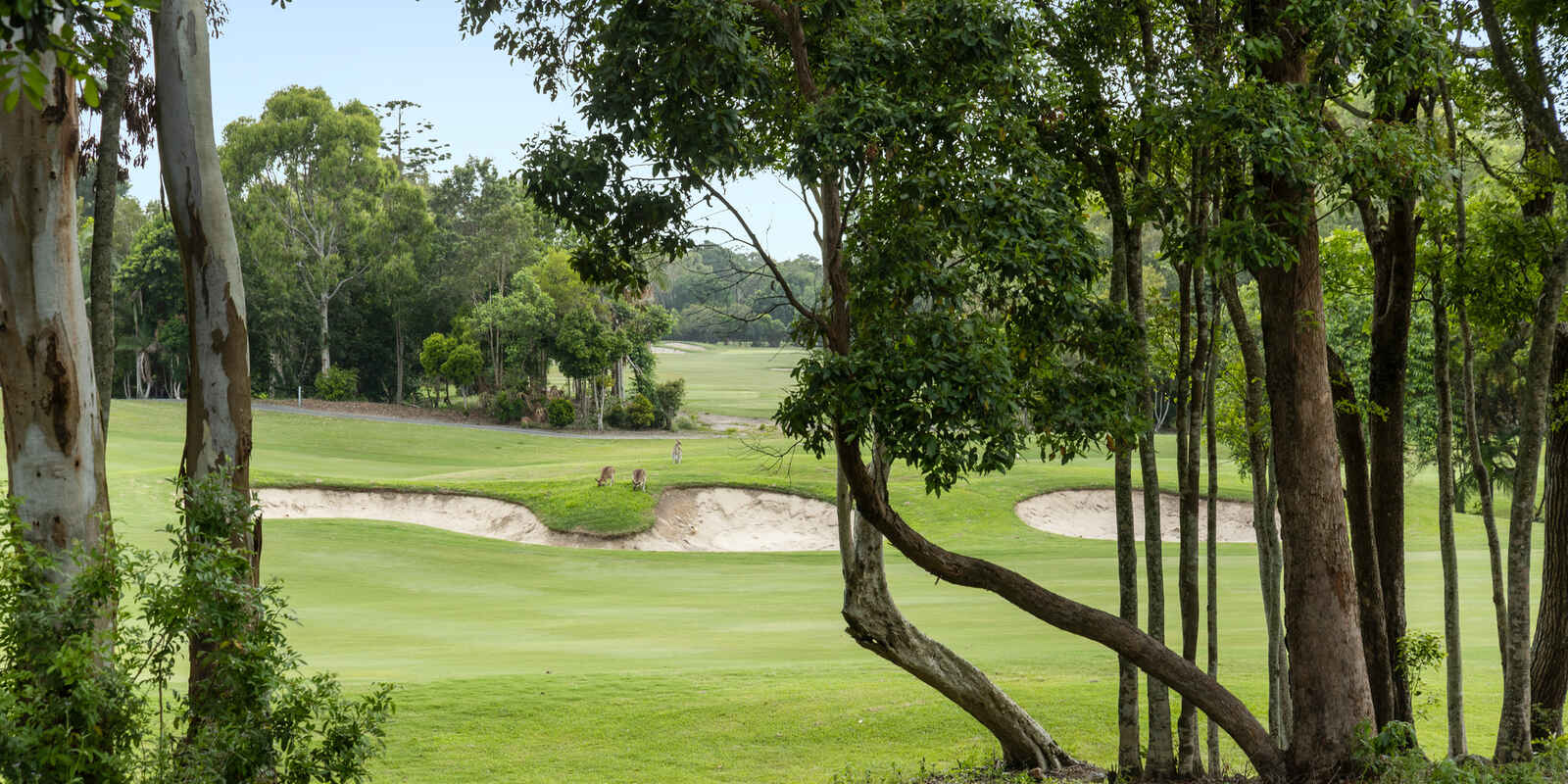13 Vantage Drive Yaroomba