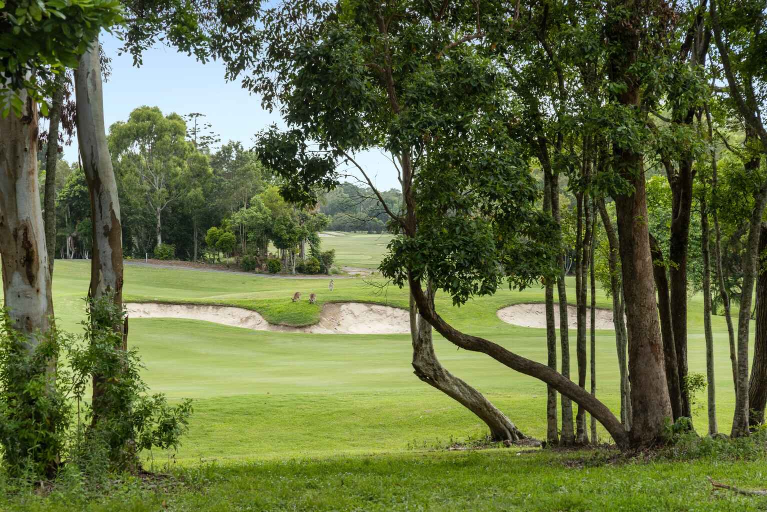 13 Vantage Drive Yaroomba 13 Vantage Drive Yaroomba