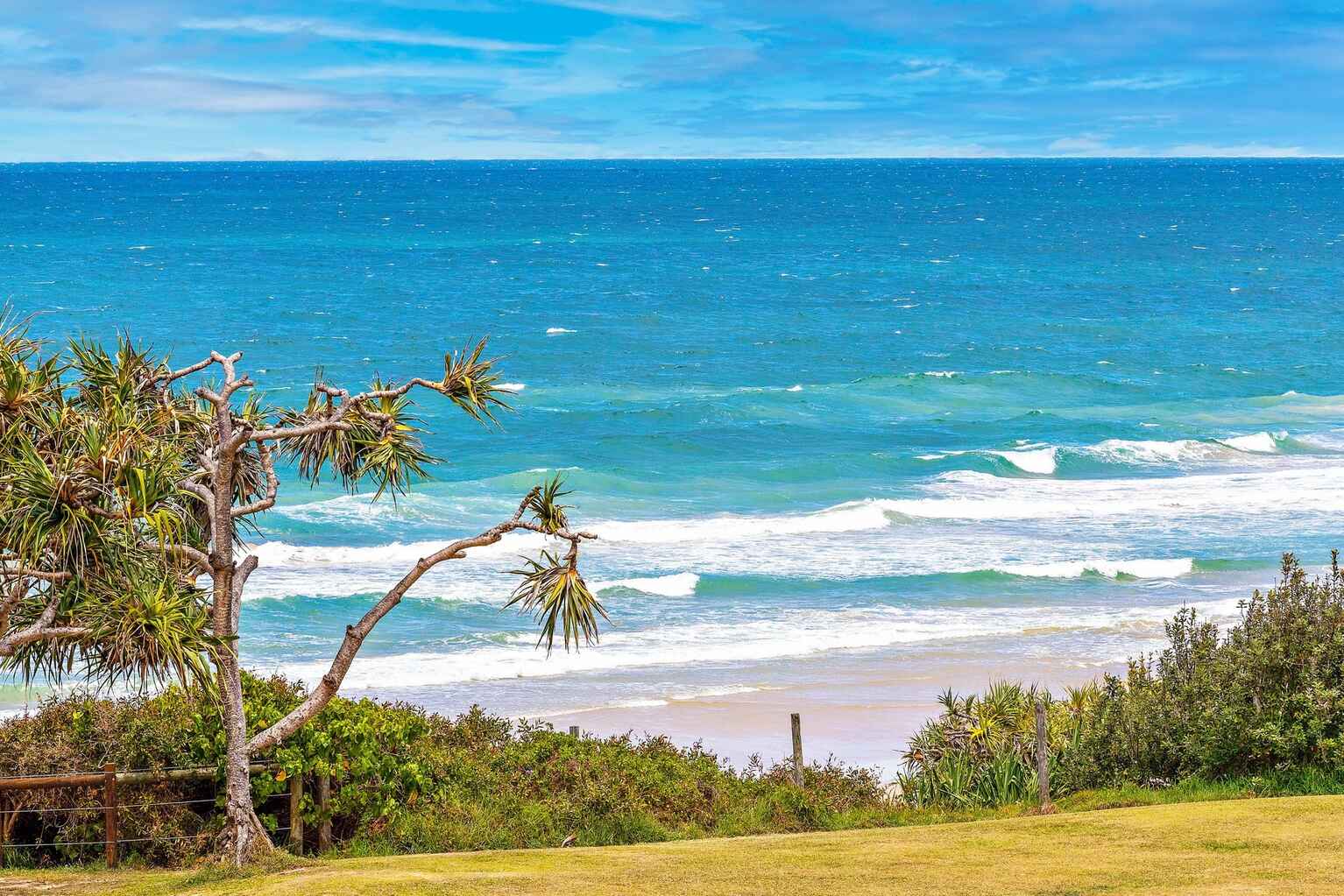 10/15 Andrew Street Point Arkwright