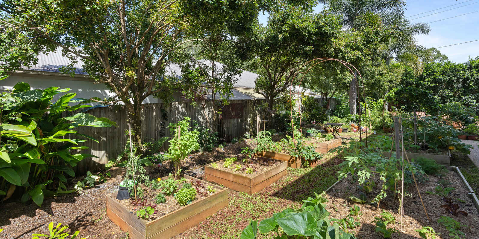 17 Quondong Court Yandina