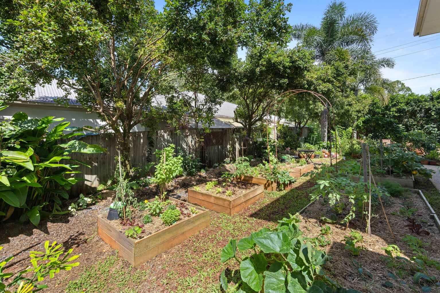 17 Quondong Court Yandina