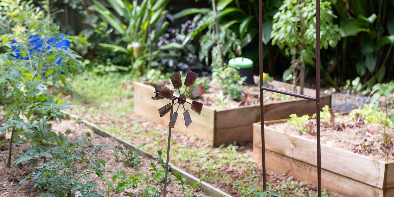 17 Quondong Court Yandina