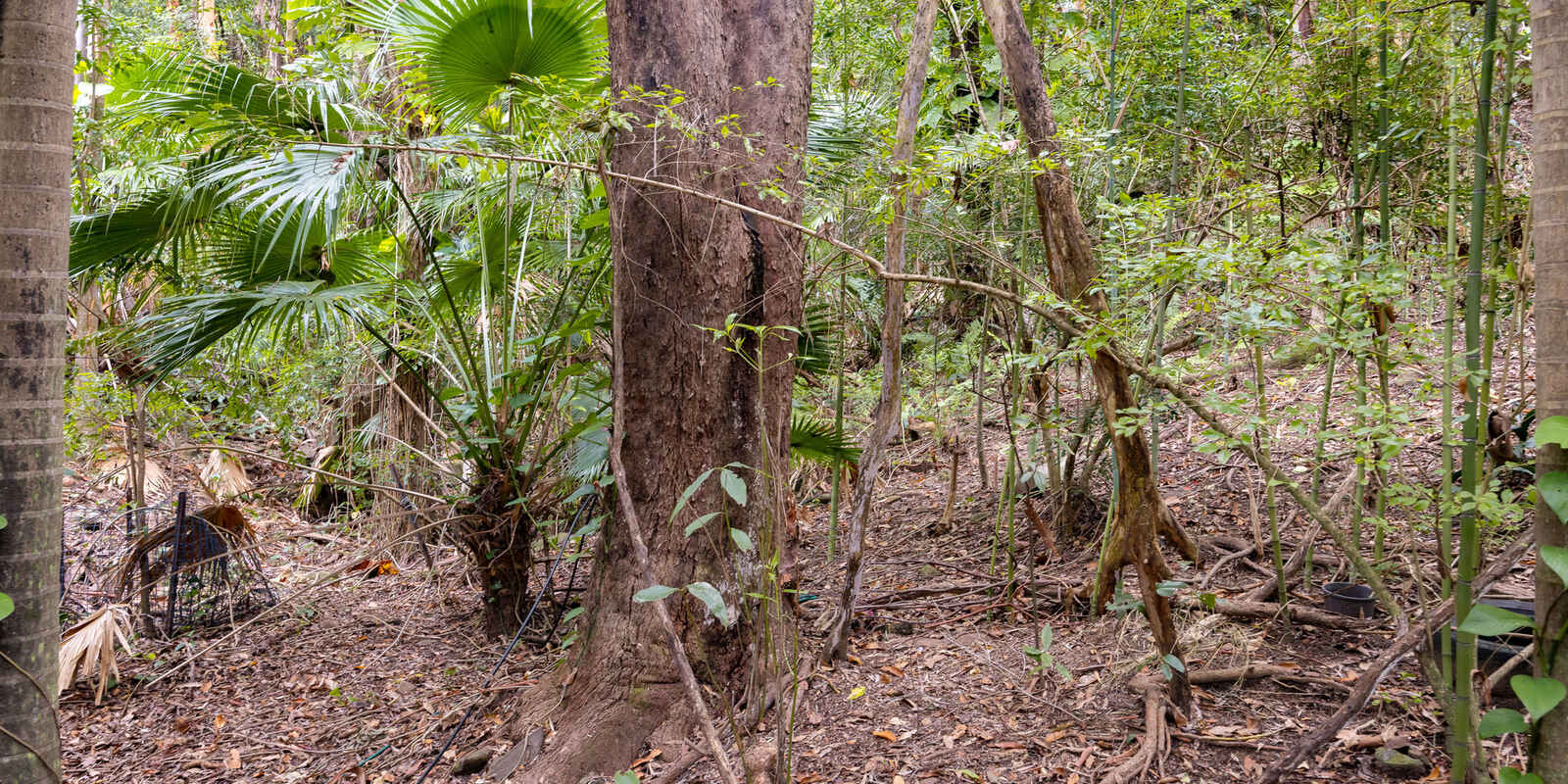 9 Carrock Court Mount Coolum 9 Carrock Court Mount Coolum