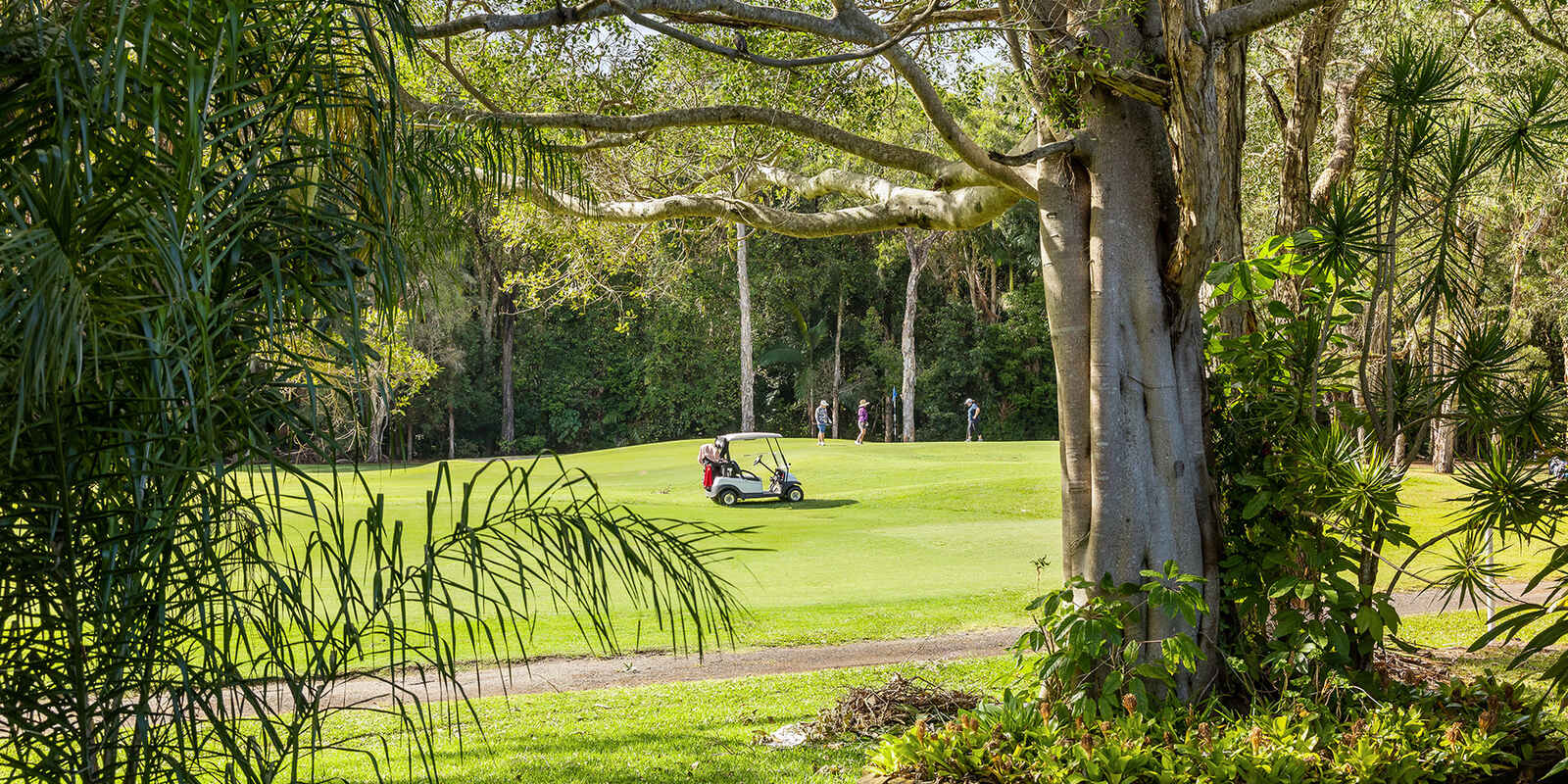 47 Lumeah Drive Mount Coolum