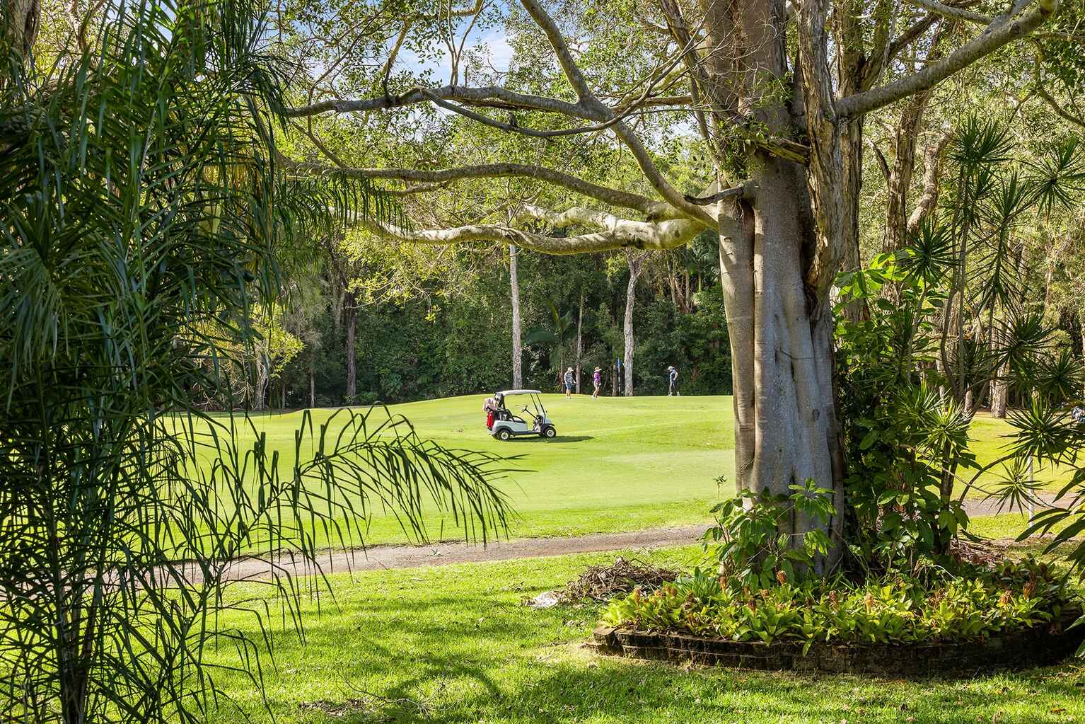 47 Lumeah Drive Mount Coolum