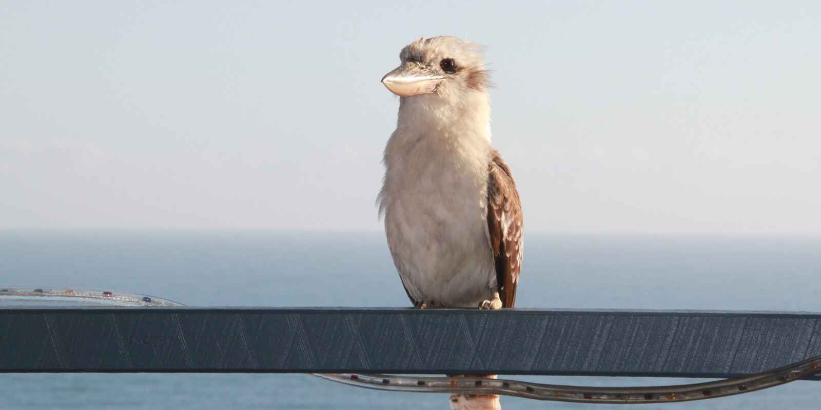 12 Mona Vista Court Coolum Beach 12 Mona Vista Court Coolum Beach