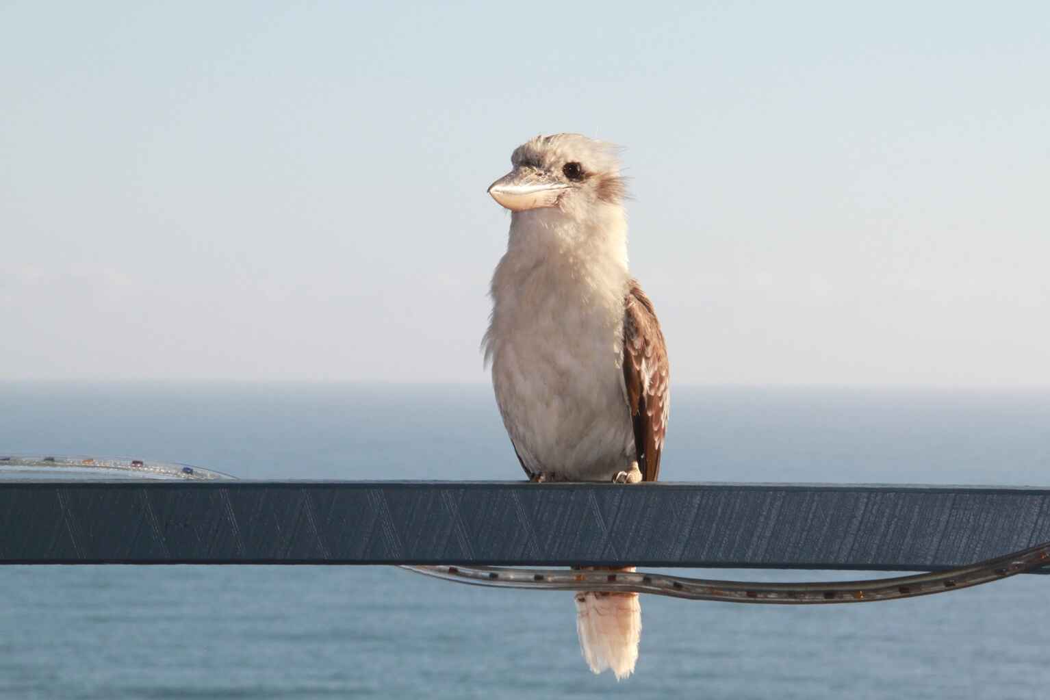 12 Mona Vista Court Coolum Beach 12 Mona Vista Court Coolum Beach