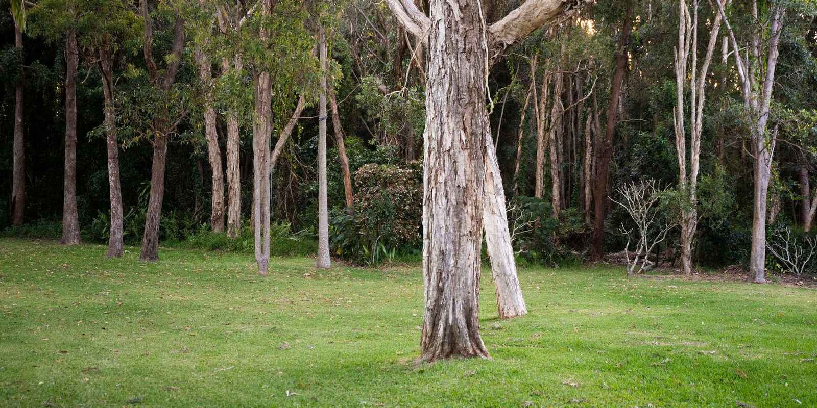 87 Cinnamon Avenue Coolum Beach