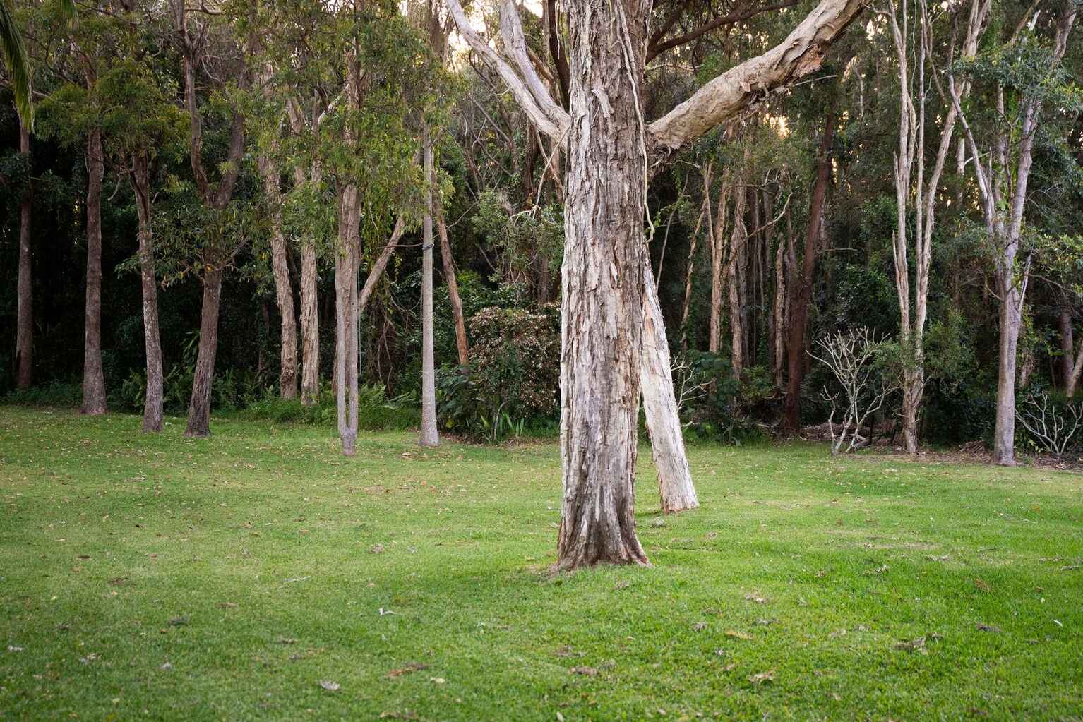 87 Cinnamon Avenue Coolum Beach