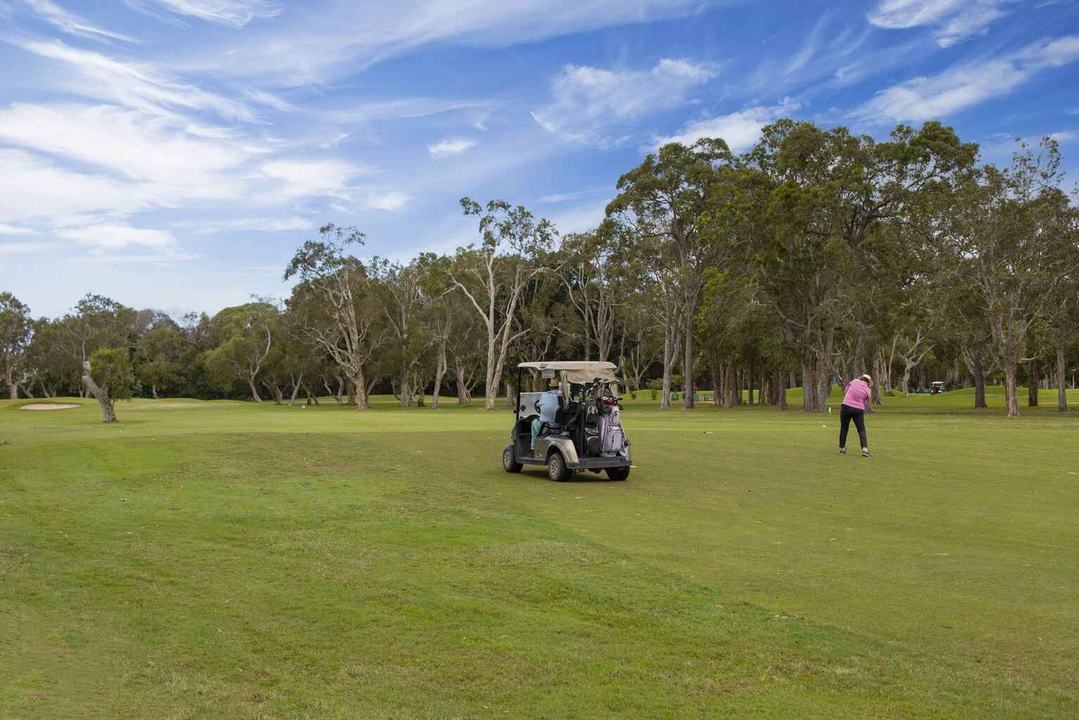 8 Bunker Court Peregian Springs
