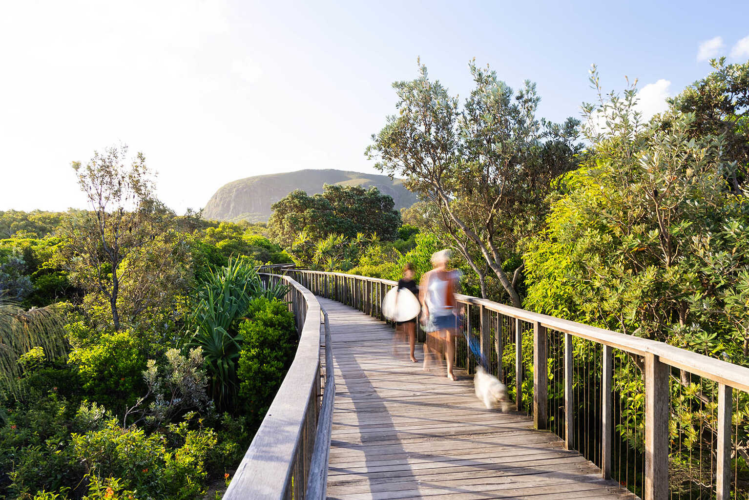 58 Lumeah Drive Mount Coolum