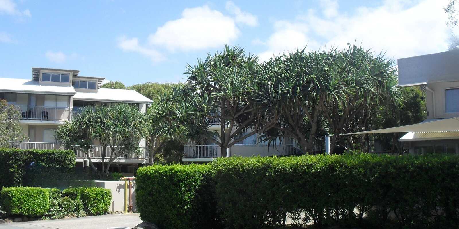 8/7 Seacove Lane Coolum Beach